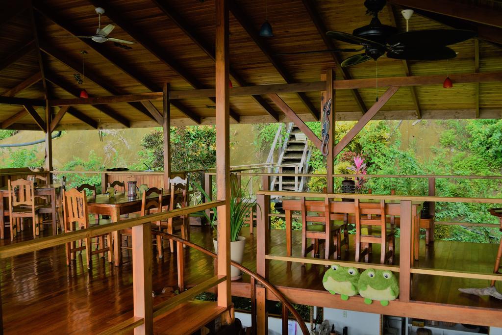 Lookout Inn Beach Rain-Forest Eco Lodge Carate 외부 사진
