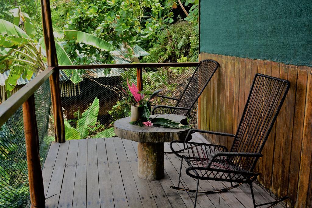 Lookout Inn Beach Rain-Forest Eco Lodge Carate 외부 사진