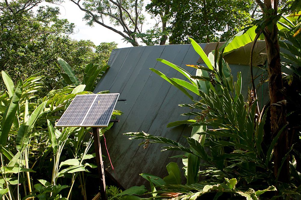 Lookout Inn Beach Rain-Forest Eco Lodge Carate 외부 사진