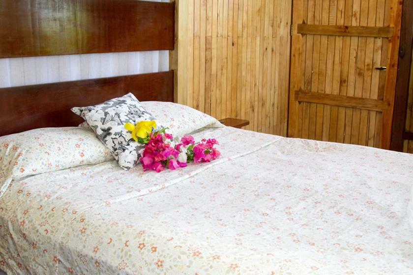 Lookout Inn Beach Rain-Forest Eco Lodge Carate 외부 사진